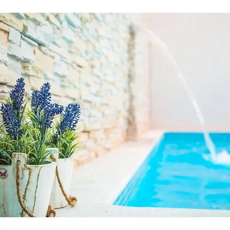 Guest house Pino Luxury And
