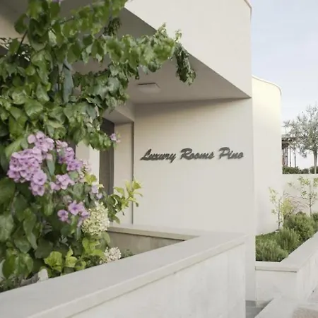 Pino Luxury And ゲストハウス 4*