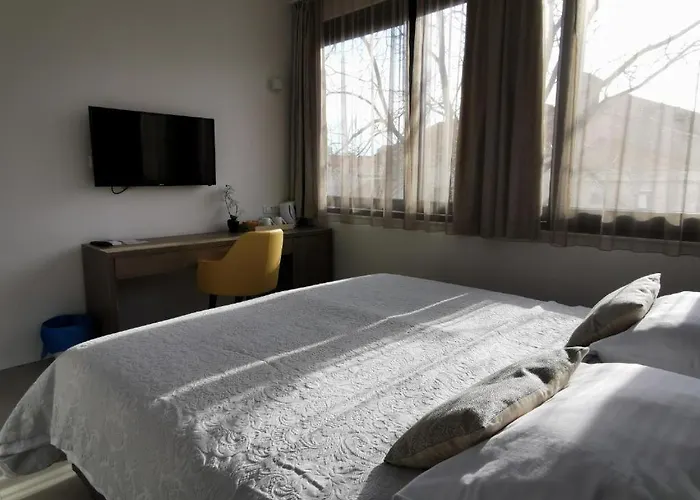 Pino Luxury And 스플리트