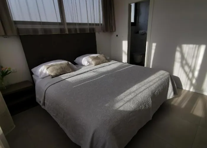 Pino Luxury And 4*