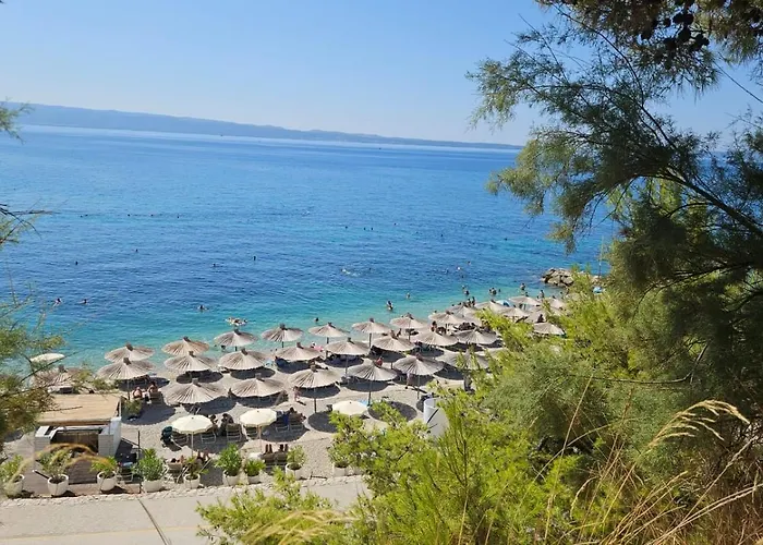 Pino Luxury And Pensión 4*