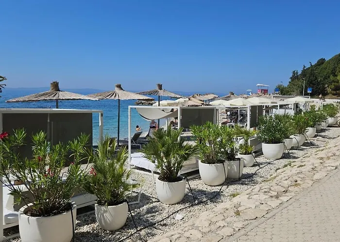 Pino Luxury And Split
